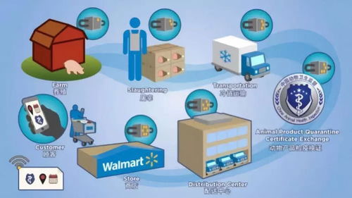 物流托盤 智能化標(biāo)簽 區(qū)塊鏈新模式,打造透明的供應(yīng)鏈